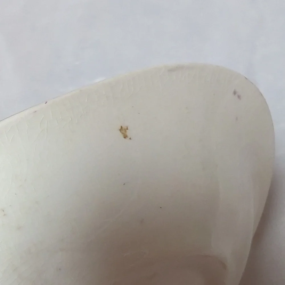 Antique 1890's John Maddox & Sons Porcelain Royal Vitreous Gravy Boat & Plate